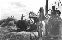 1946 - mlácení obilí po válce v Butovicích